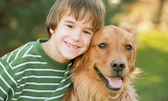 The Impact of Pet Ownership in Childhood Development