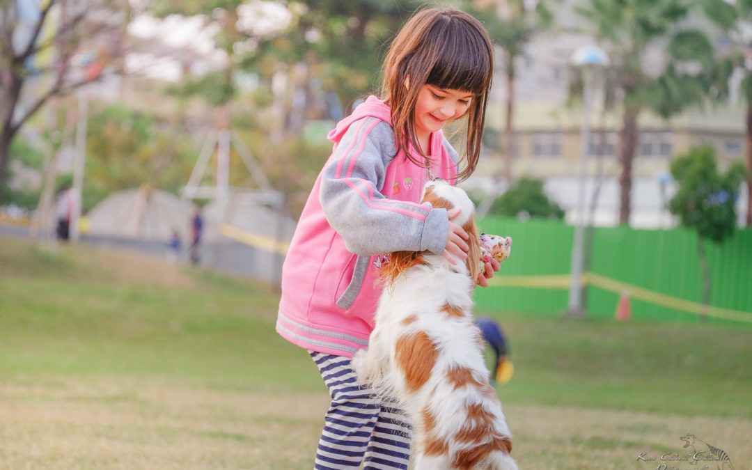 Smart Parent Advice for Getting a Family Pet