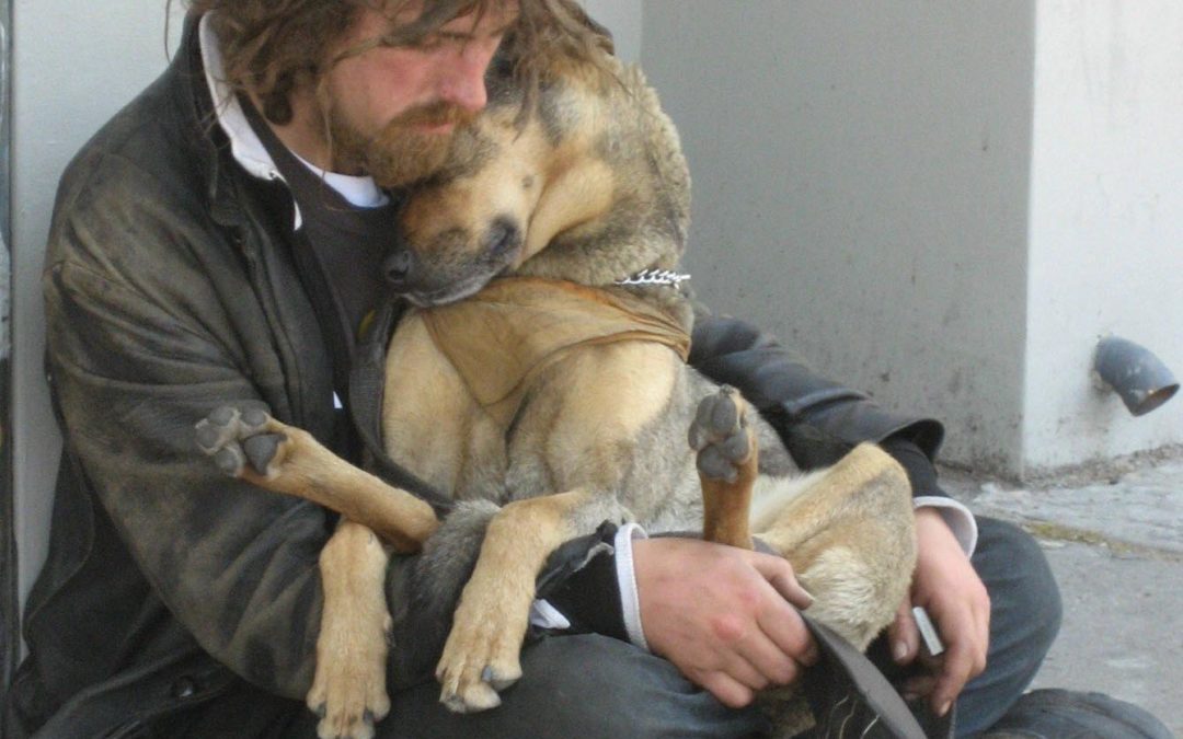 Assistance for Caring for Pets of the Homeless